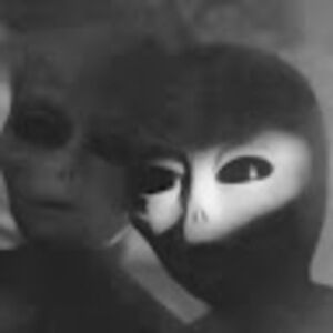 Meet your Posher, Eri